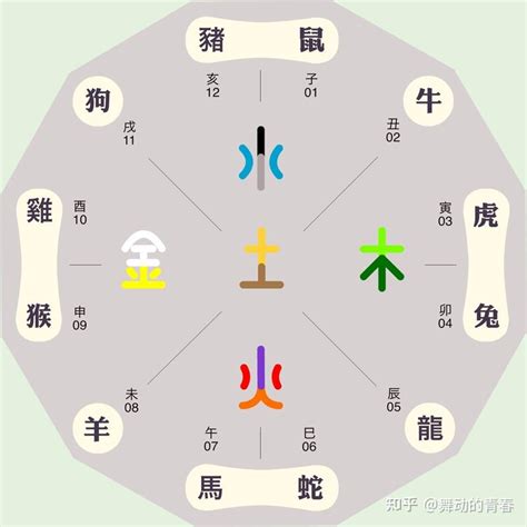 12生肖五行|“十二生肖”与“五行”的关系，来看看你的生肖五行属什么？